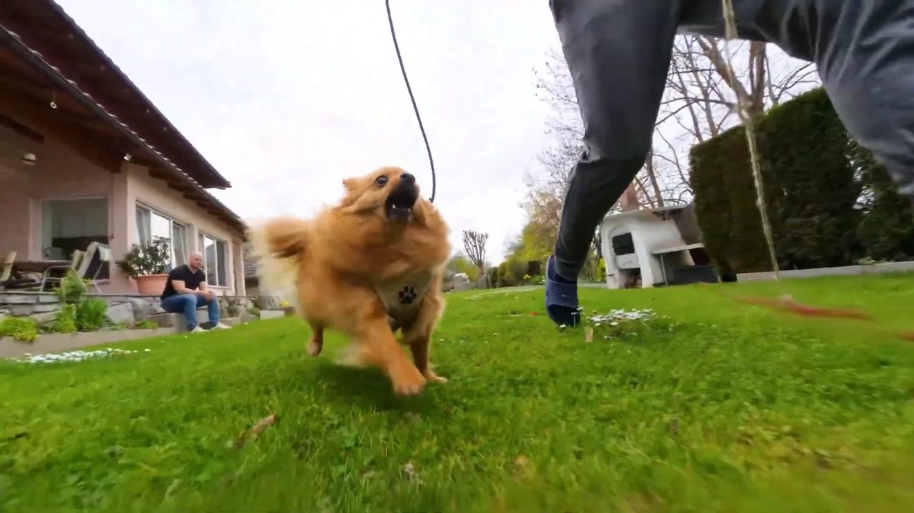 Capturing pets in slow motion