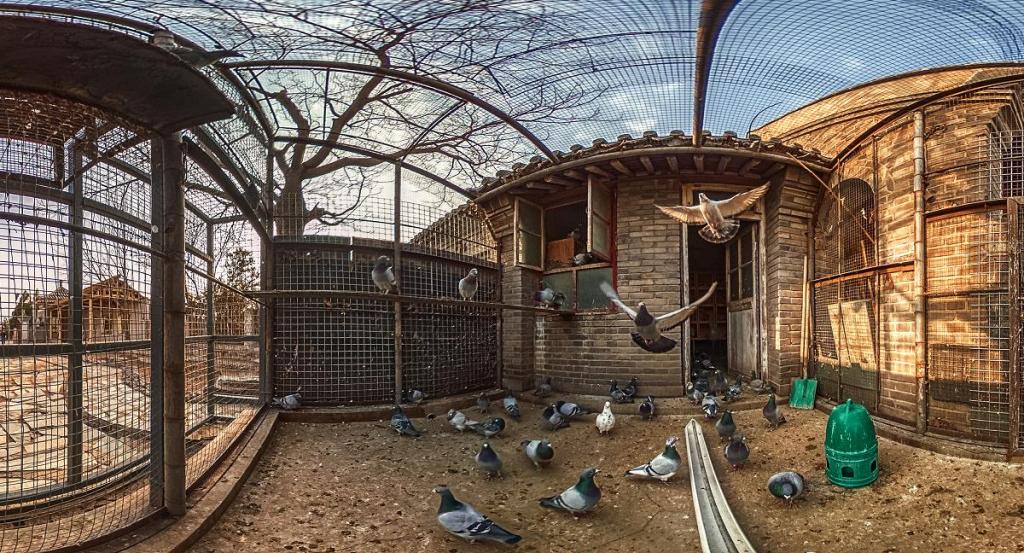 Learn how to edit 360 photos