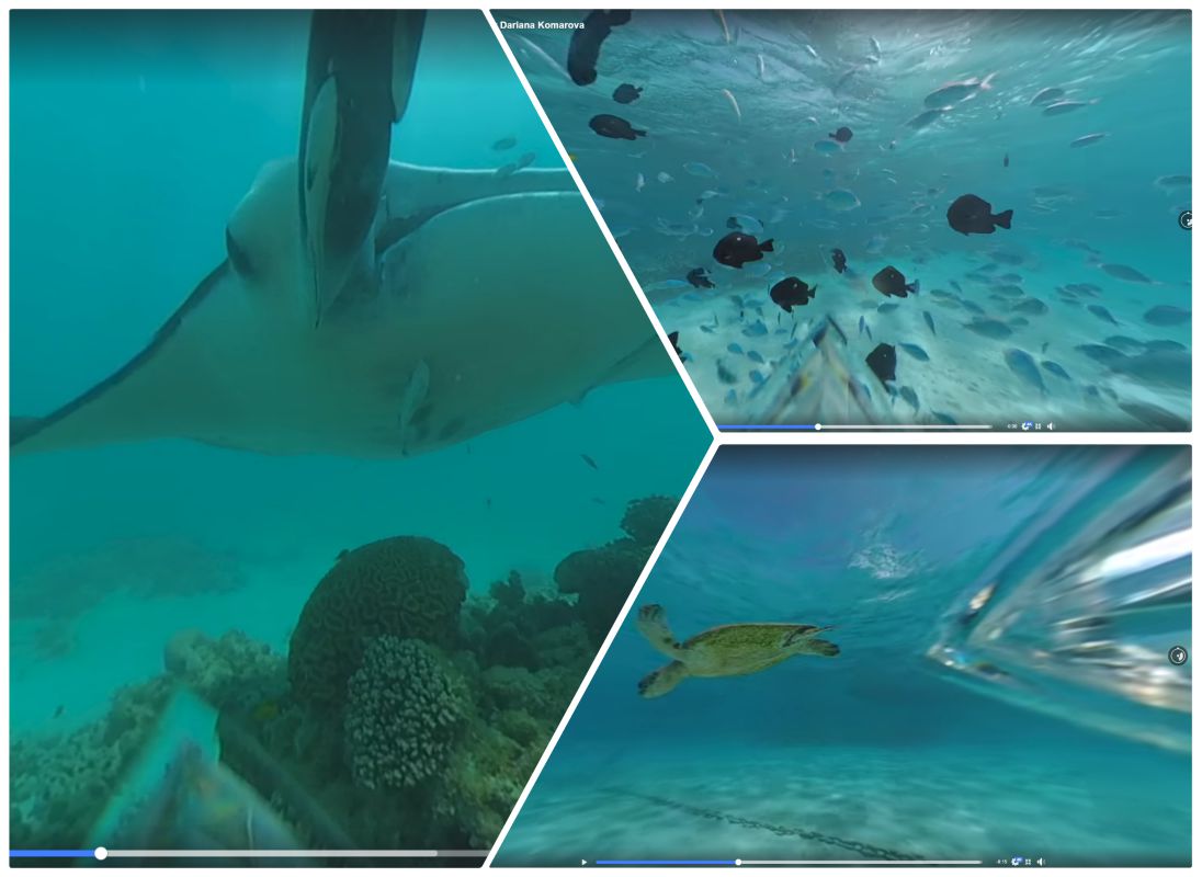 Insta360 One X new underwater sample videos