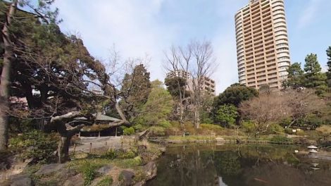 Screenshot from Entaniya 250 MFT 3.0 with Panasonic GH5