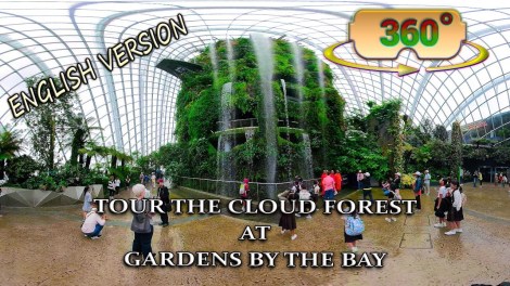 Tallest Indoor Waterfall 360 video