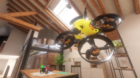 Liftoff Micro Drones review