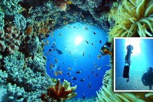 Shoot underwater 360 videos hands-free with Ricoh Staythee