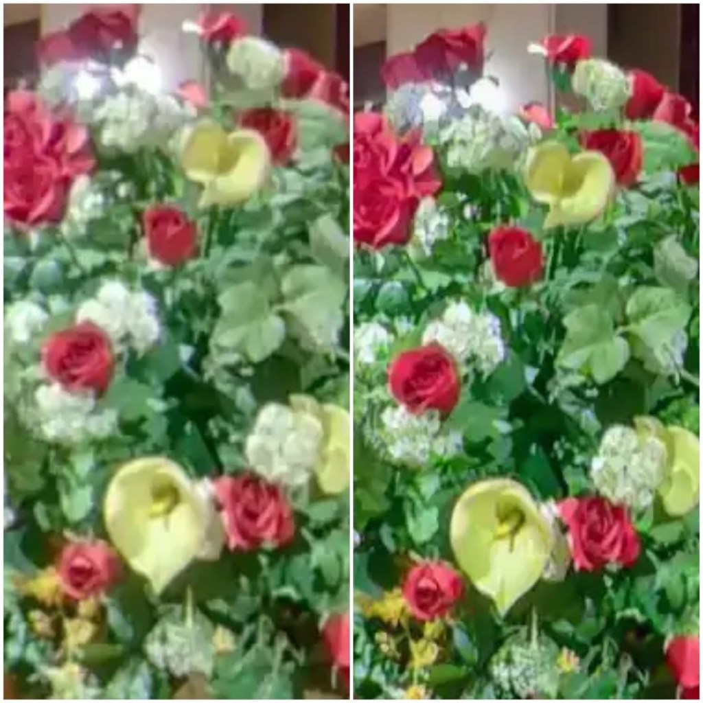 Details: before enhancement (left) and after AI Image enhancement (right). Photo by Ricoh Tours