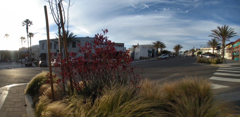Scrrenshot of a Google VR180 sample photo showing its image quality