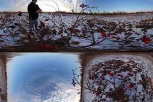 Straighten horizon of multiple Ricoh Theta photos
