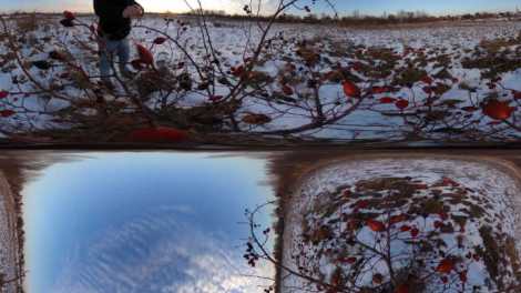 Straighten horizon of multiple Ricoh Theta photos