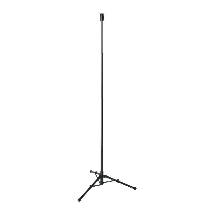 Ricoh TD-2 monopod stand