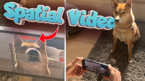 How to watch Apple Spatial Video on Meta Quest 3 or other devices